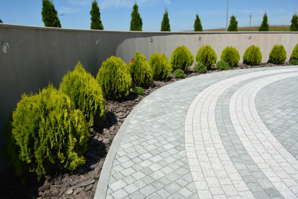 Best Commercial Driveway Pavers  in East Lansdowne, PA